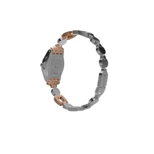 Swatch Lady Passion St. Steel Grau | ITJUOY-856