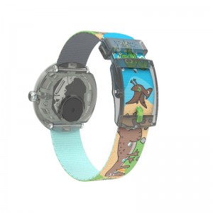 Swatch Sauruses Return Bio-sourced plastic Grau | NAVPKW-347
